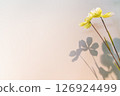 fake flowers yellow  on cream background 126924499