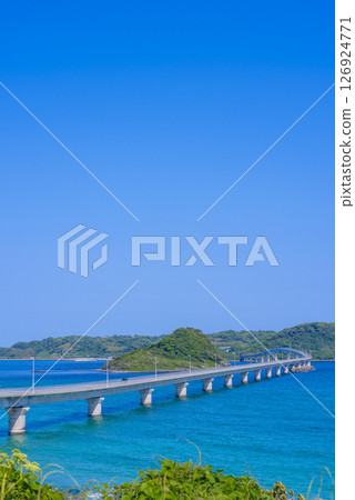 [Vertical photo] Tsunoshima Bridge 126924771