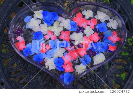 Hakozaki Shrine (Higashi Ward, Fukuoka City) Hydrangea flowers in a heart-shaped container 126924782
