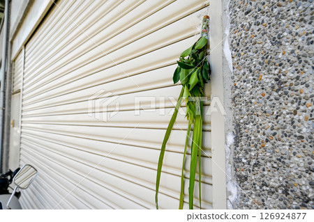 May 30, 2025, Taiwan: A bunch of Chinese iris written by a hundred leaves on the top of the oil-colored gold plate, with a remarkable collection of iris on the stone wall. May 30, 2025, Taiwan: A bunch of Chinese iris written by a hundred leaves on the top of the oil-colored gold plate, with a remarkable collection of iris on the stone wall. 126924877