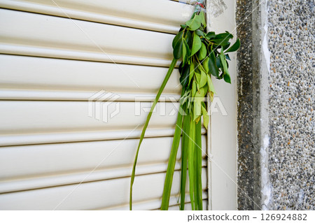 May 30, 2025, Taiwan: A bunch of Chinese iris written by a hundred leaves on the top of the oil-colored gold plate, with a remarkable collection of iris on the stone wall. May 30, 2025, Taiwan: A bunch of Chinese iris written by a hundred leaves on the top of the oil-colored gold plate, with a remarkable collection of iris on the stone wall. 126924882