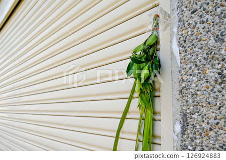 May 30, 2025, Taiwan: A bunch of Chinese iris written by a hundred leaves on the top of the oil-colored gold plate, with a remarkable collection of iris on the stone wall. May 30, 2025, Taiwan: A bunch of Chinese iris written by a hundred leaves on the top of the oil-colored gold plate, with a remarkable collection of iris on the stone wall. 126924883