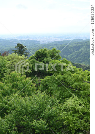 Climbing Mount Takao, Tokyo Climbing Mount Takao, Tokyo 126925324