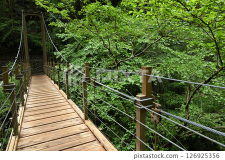 Climbing Mount Takao, Tokyo 126925356