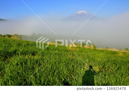 Fuji peeking out in the clearing mist from Mount Teppokinoto (Myojinyama) in Tanzawa Fuji peeking out in the clearing mist from Mount Teppokinoto (Myojinyama) in Tanzawa 126925478