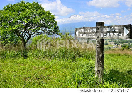 Mount Fuji as seen from the summit of Mount Takasashi, on the Koshu border ridge of the Tanzawa Mountains. Mayumi 126925497