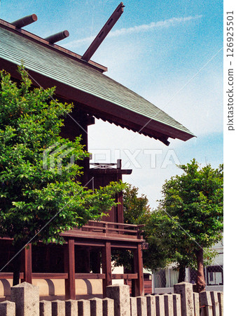 土宗八幡宮本殿與藍天(福岡縣飯塚市) 土宗八幡宮本殿與藍天(福岡縣飯塚市) 126925501