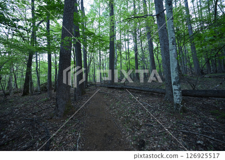 攀登山梨縣瑞垣山 攀登山梨縣瑞垣山 126925517