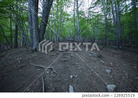 Climbing Mount Mizugaki, Yamanashi Prefecture Climbing Mount Mizugaki, Yamanashi Prefecture 126925519