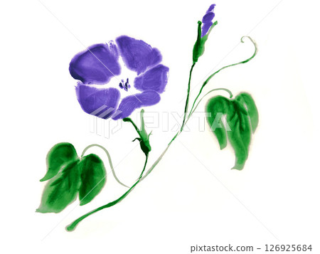 紫色牽牛花和葉子的墨水風格插圖 126925684