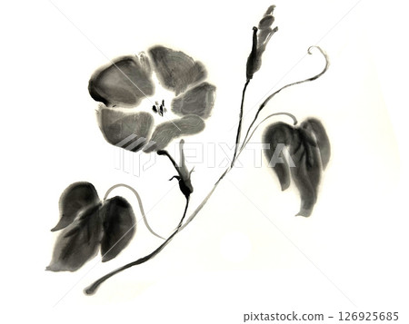 牽牛花和葉子的水墨風格插圖 126925685