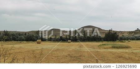 Scenic view of hay bales in a green field. Food for herbivores. Scenic view of hay bales in a green field. Food for herbivores. 126925690