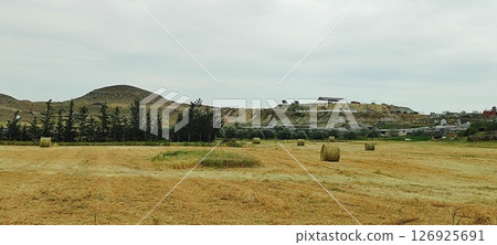 Scenic view of hay bales in a green field. Food for herbivores. 126925691