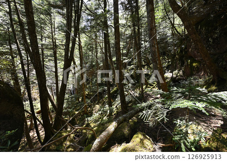 攀登山梨縣瑞垣山 攀登山梨縣瑞垣山 126925913