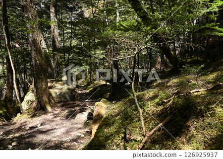 Climbing Mount Mizugaki, Yamanashi Prefecture Climbing Mount Mizugaki, Yamanashi Prefecture 126925937