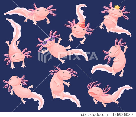 Axolotl. Cartoon axolotls cute characters, kawaii pink salamander in glasses crown adorable ambystoma amphibian underwater aquatic animal salamanders set, neat vector illustration Axolotl. Cartoon axolotls cute characters, kawaii pink salamander in glasses crown adorable ambystoma amphibian underwater aquatic animal salamanders set, neat vector illustration 126926089