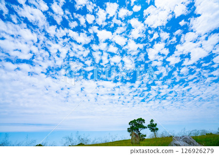 藍天和雲彩和大草原 藍天和雲彩和大草原 126926279