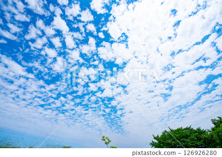 藍天，白雲和樹林 126926280
