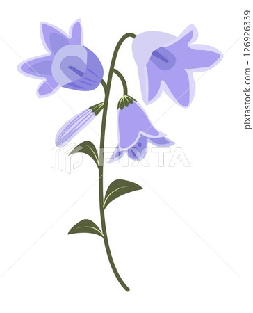 Bellflowers with leaves, blue-green illustration 126926339