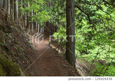 攀登東京雲取山 126926436