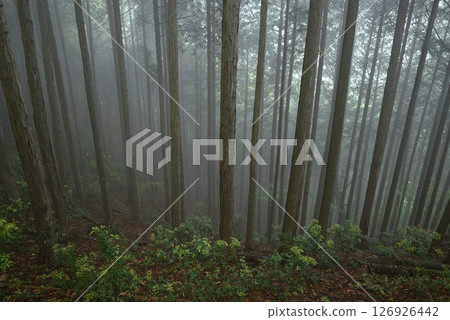 攀登東京雲取山 126926442