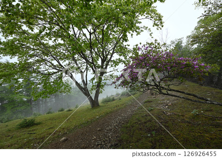 攀登東京雲取山 126926455