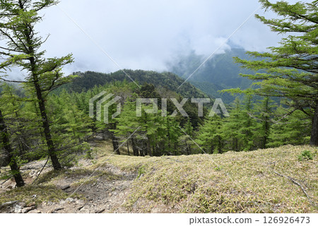 攀登東京雲取山 攀登東京雲取山 126926473