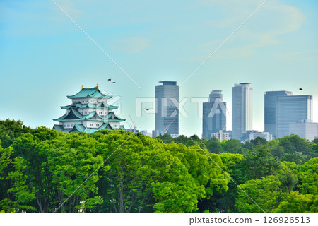 <愛知縣>從綠意盎然的名城公園眺望名古屋城和摩天大樓 126926513