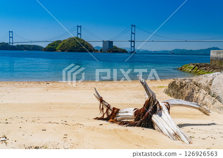 愛媛縣：眺望來島海峽大橋的海岸線 126926563