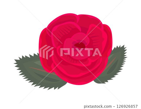 Single red rose bud with two leaves 126926857