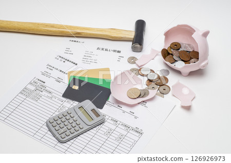 Card details, a broken piggy bank and cash 126926973