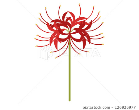 Red spider lily icon 126926977