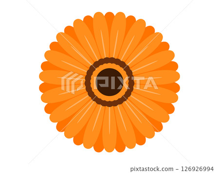 非洲菊圖標 非洲菊圖標 126926994