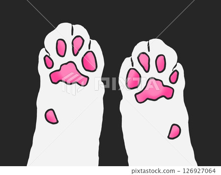 簡單的貓爪插圖（兩隻爪子） 126927064