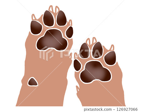 Simple dog paw illustration (both paws) 126927066