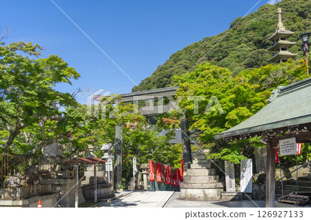 奈良朝砂寺正殿參道 126927133