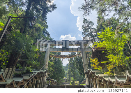 Mount Ikoma Hozanji Temple (Hozanji Temple) Large Torii Gate Mount Ikoma Hozanji Temple (Hozanji Temple) Large Torii Gate 126927141