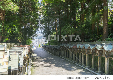 Mount Ikoma Hozanji Temple (Hozanji Temple) Main Approach Mount Ikoma Hozanji Temple (Hozanji Temple) Main Approach 126927150