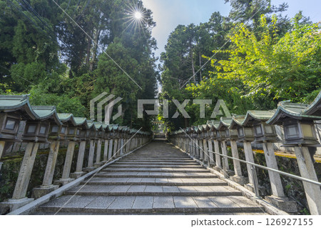 Mount Ikoma Hozanji Temple (Hozanji Temple) Main Approach 126927155