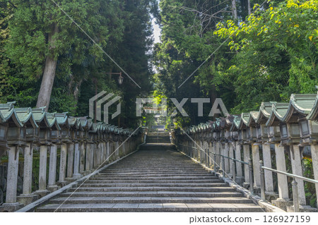 Mount Ikoma Hozanji Temple (Hozanji Temple) Main Approach 126927159