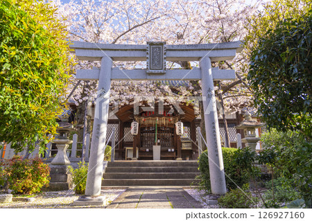 法殿寺的花開(京都市左京區淨土寺新如町) 法殿寺的花開(京都市左京區淨土寺新如町) 126927160