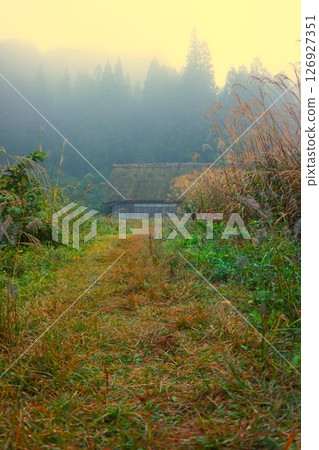 芒草、荻町合掌村、世界遺產、白川鄉、茅草屋頂 126927351