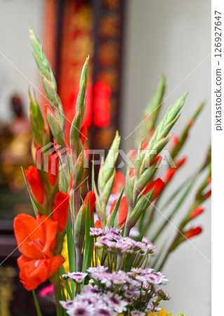 Red gladiolus and pink and purple daisies as a sacrificial floral arrangement 126927647