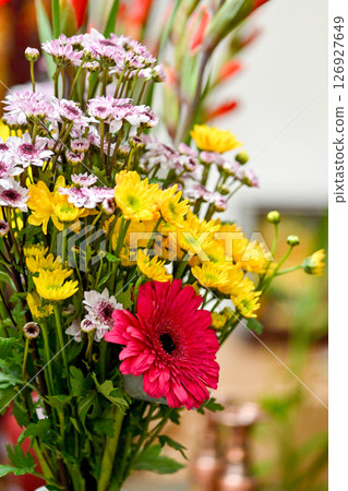混合花束粉紅芙蓉和黃色菊花，春日春日裝飾適合搭配新鮮菊花 126927649