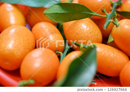 Close-up of kumquats on a plate symbolizes luck and wealth 126927668