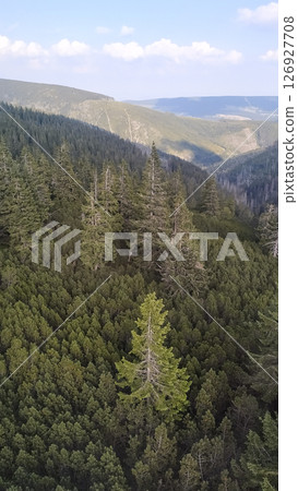 Snezka mountain dominating the lush forests of krkonose national park, czechia in august 126927708