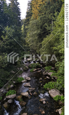Mountain stream flowing through lush forest near snezka in czech republic in august 126927729
