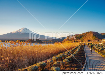 Mount Fuji from Oishi Park in Autumn Mount Fuji from Oishi Park in Autumn 126928026