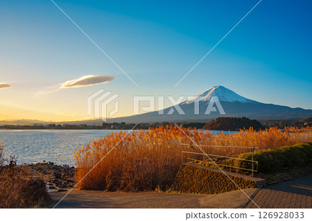 Mount Fuji from Oishi Park in Autumn 126928033