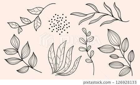 Nature botanical leaves line art drawing set illustration Nature botanical leaves line art drawing set illustration 126928133